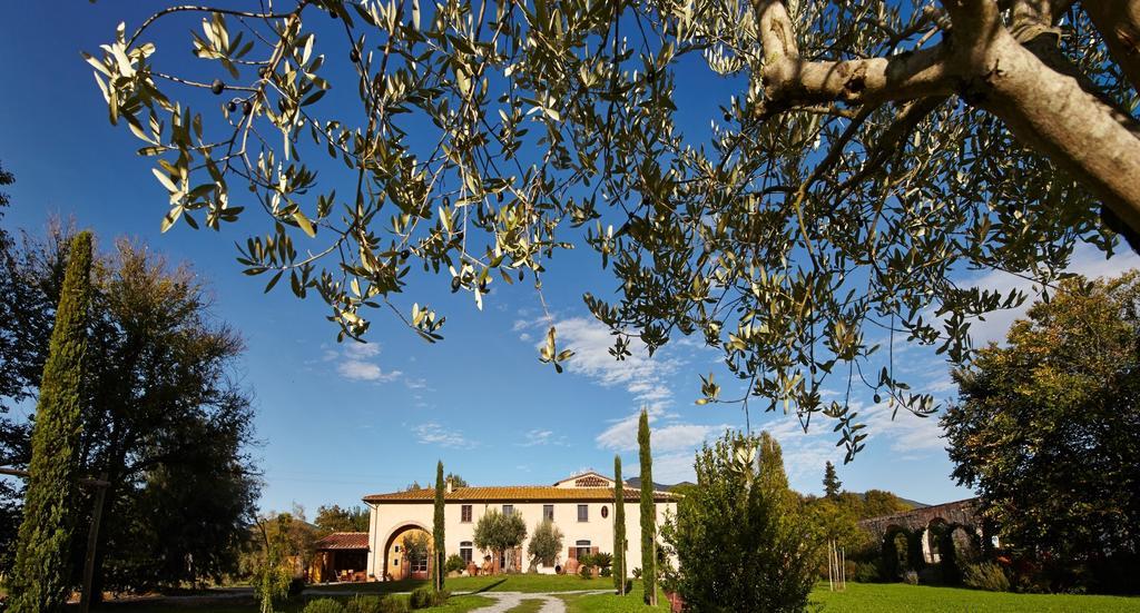 B&B Ai Condotti Di Pisa Da Filippo Сан-Джулиано-Терме Экстерьер фото